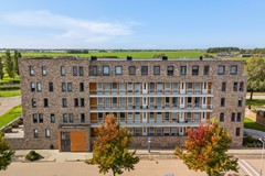 Lisdodde 151-6.jpg
